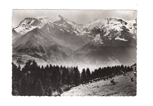 Cartolina postale