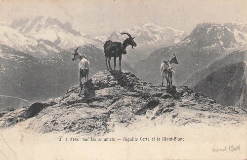 Sulla cima mont - sulla,