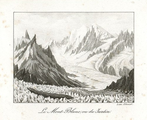 Mont blanc du jardin - blanc,