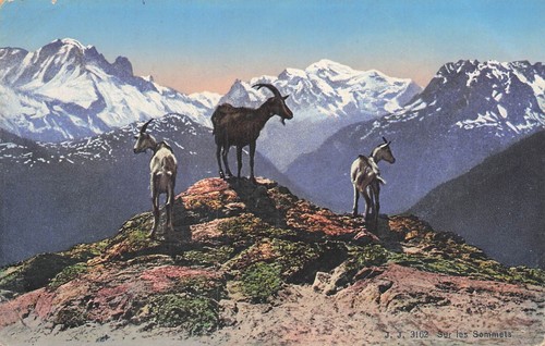 Mont blanc 83524 - le,